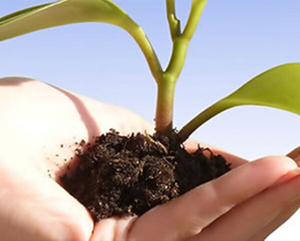 Galagreen von Zeller Recycling Bild