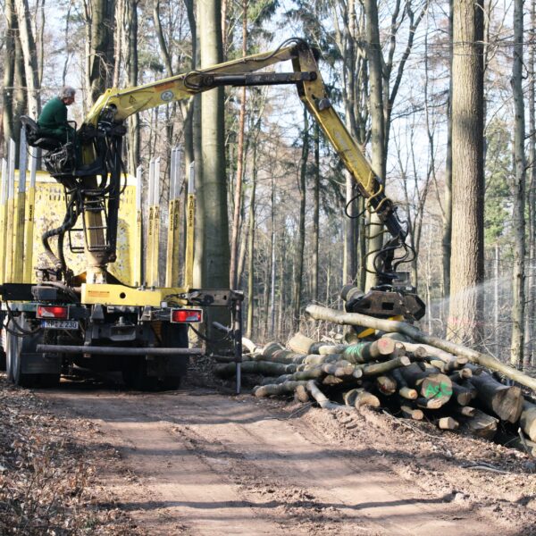 Kommunale Dienstleistungen Bild