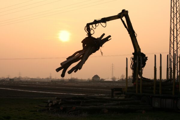 Landschaftspflege – Gut Holz Rodungs - und Forstservice Bild